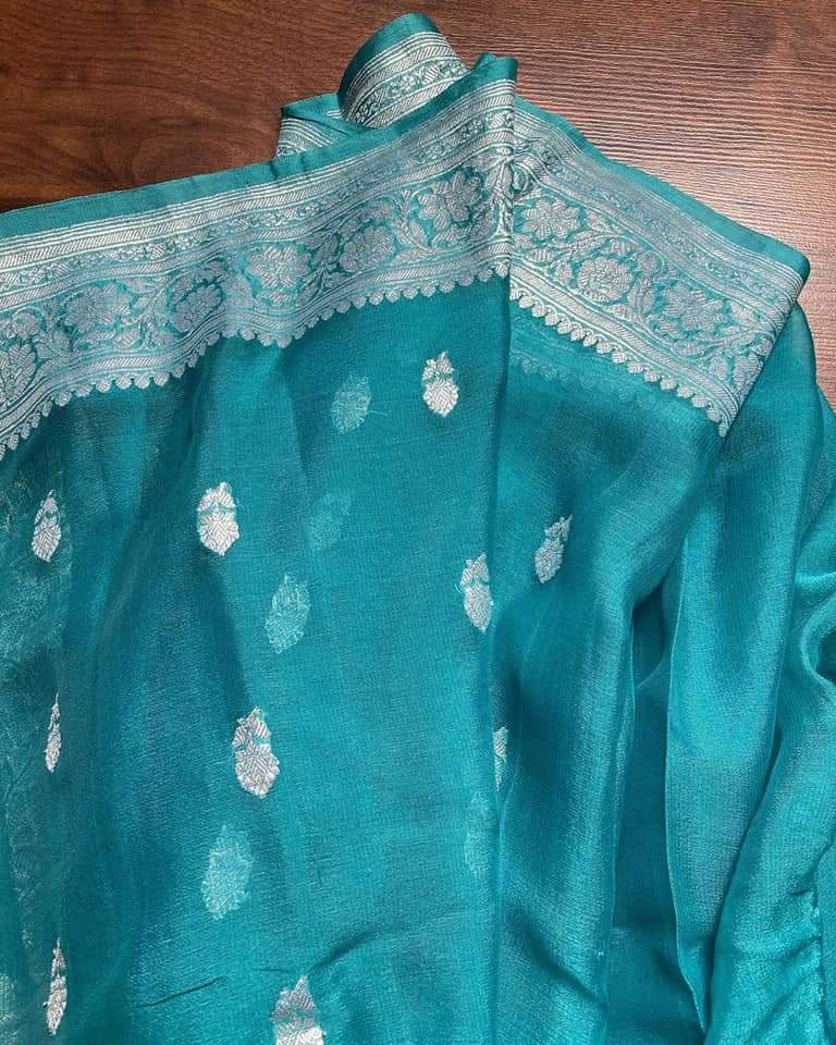 Pure Georgette Banarasi Saree - Silver Zari - The Crafts Clothing
