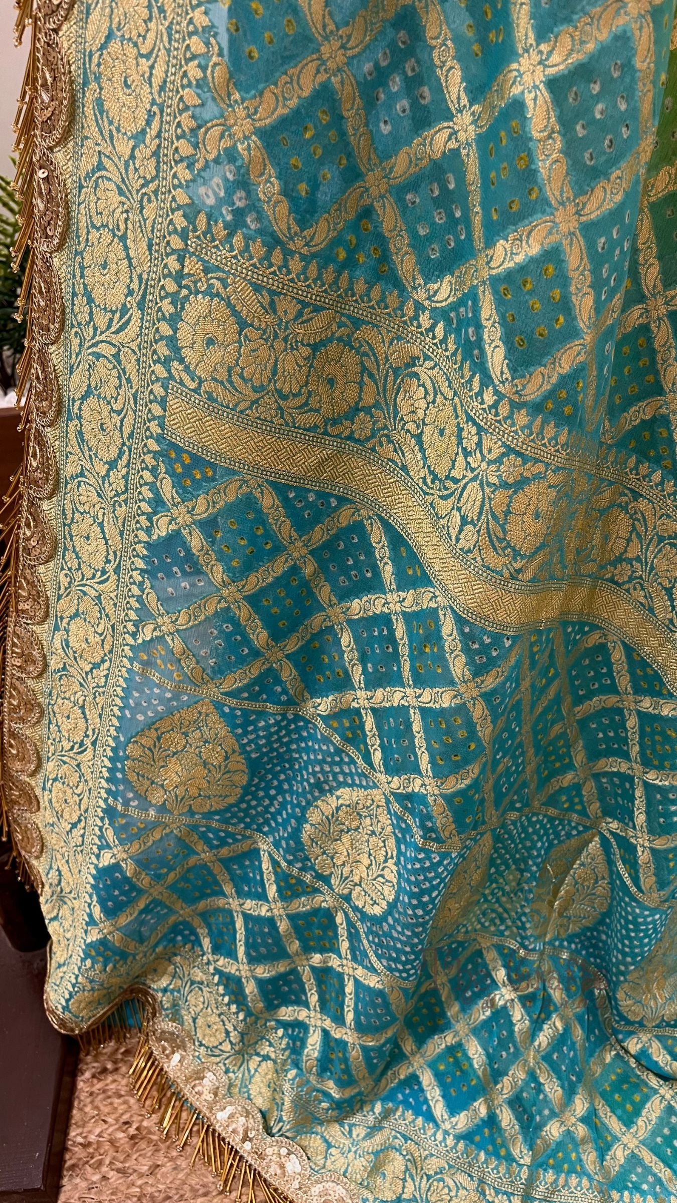 Janhvi Kapoor in Pure Georgette Banarasi Handloom Bandhej Saree