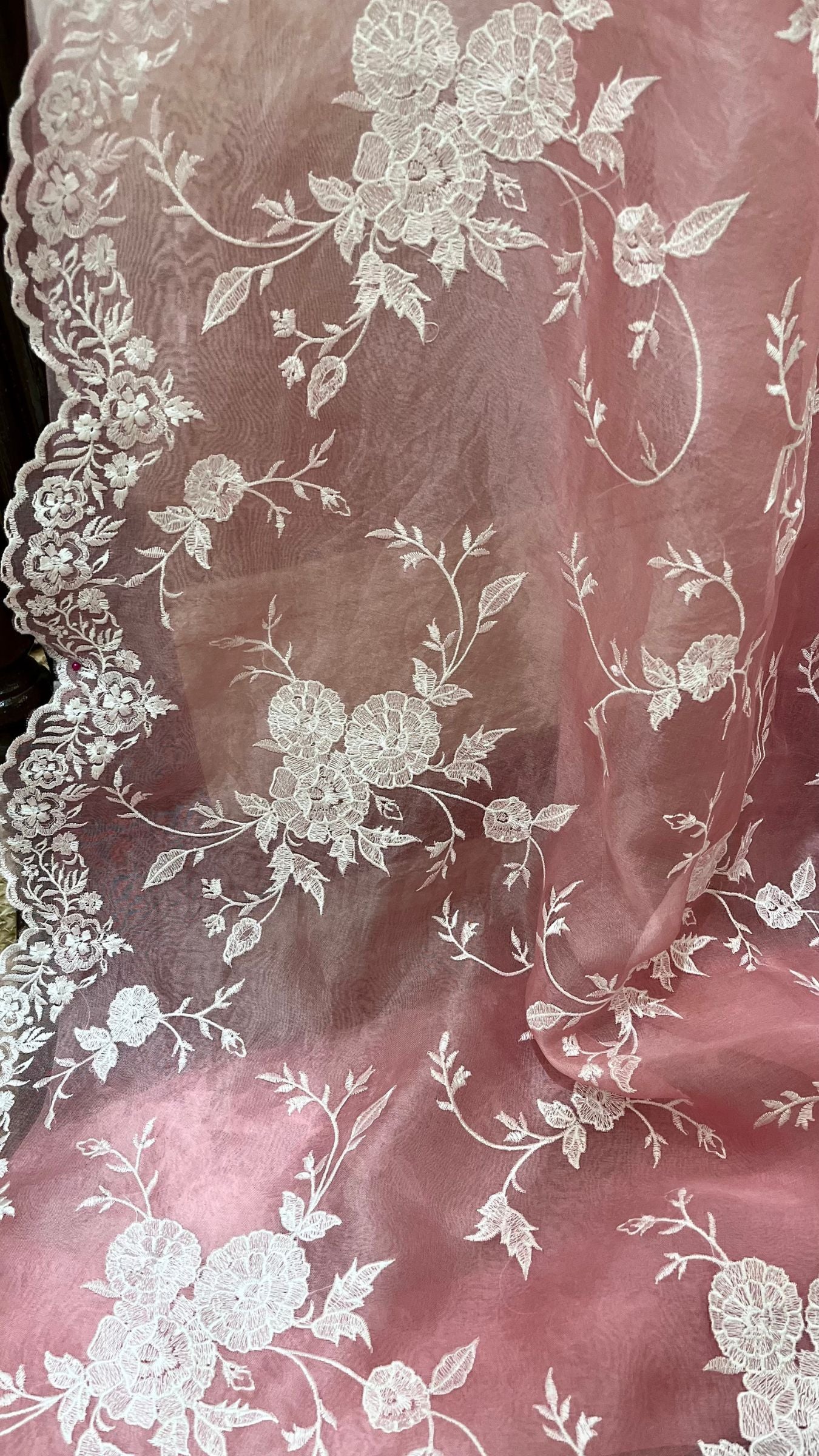 Pure Organza Silk Chikankari Handloom Banarasi Saree