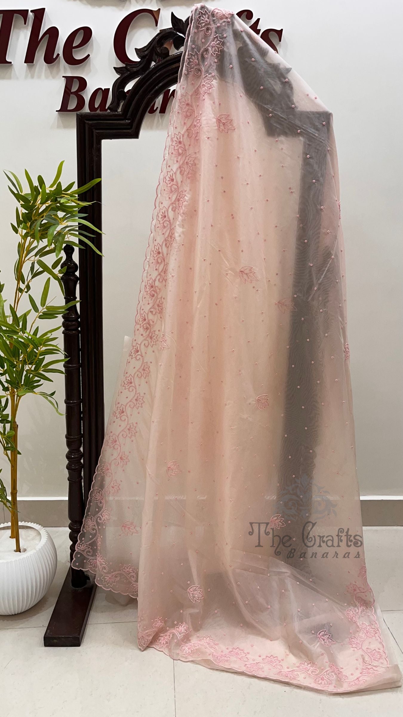 Pure Organza Silk Handloom Banarasi Saree - handwork motifs