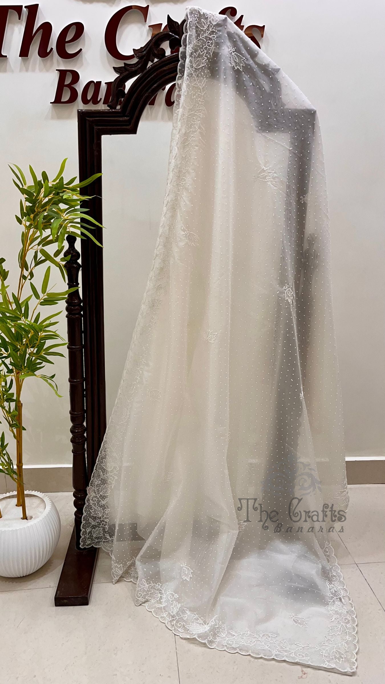 Pure Organza Silk Handloom Banarasi Saree - handwork motifs