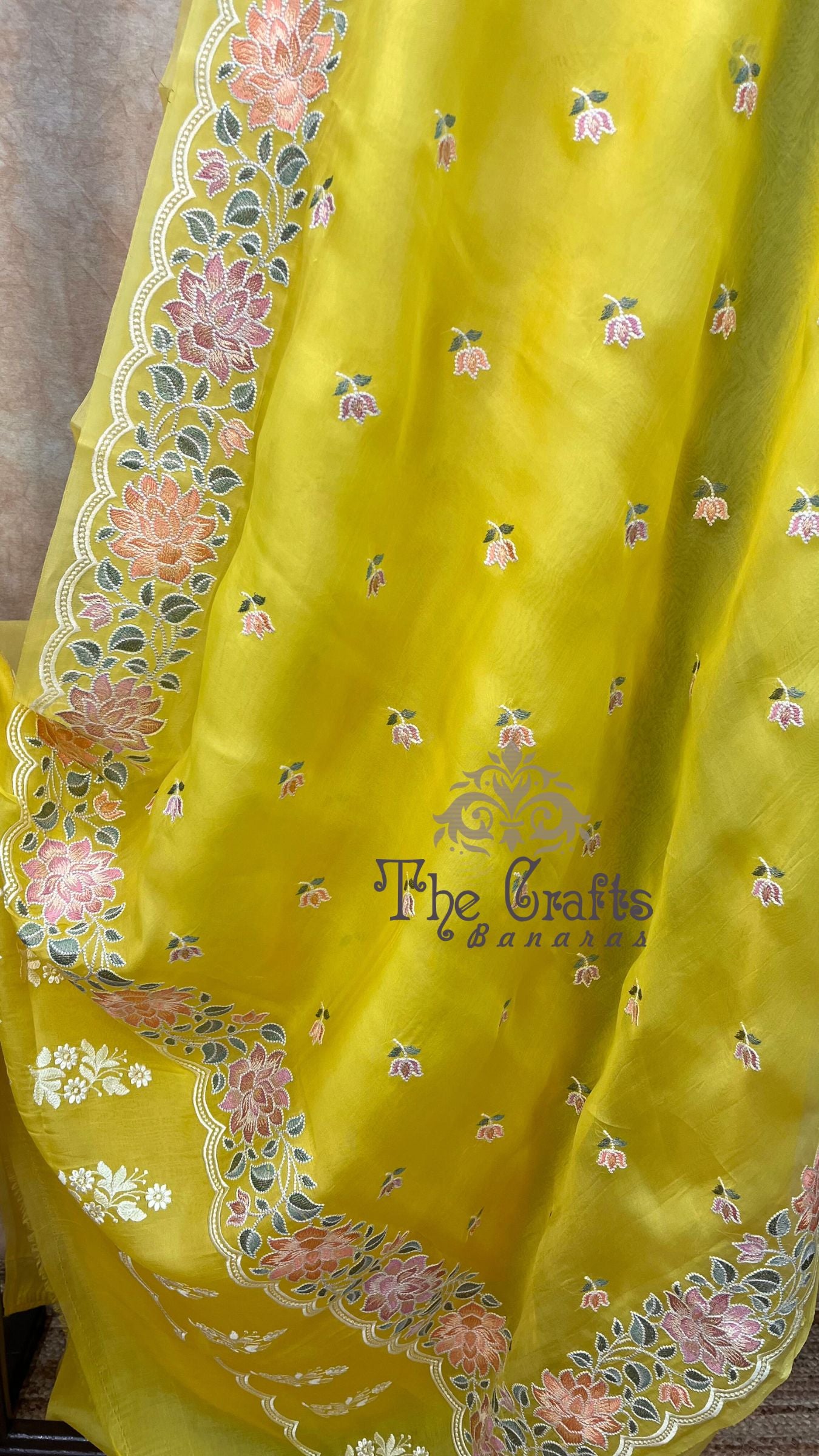 Pure Organza Silk Chikankari Handloom Banarasi Saree