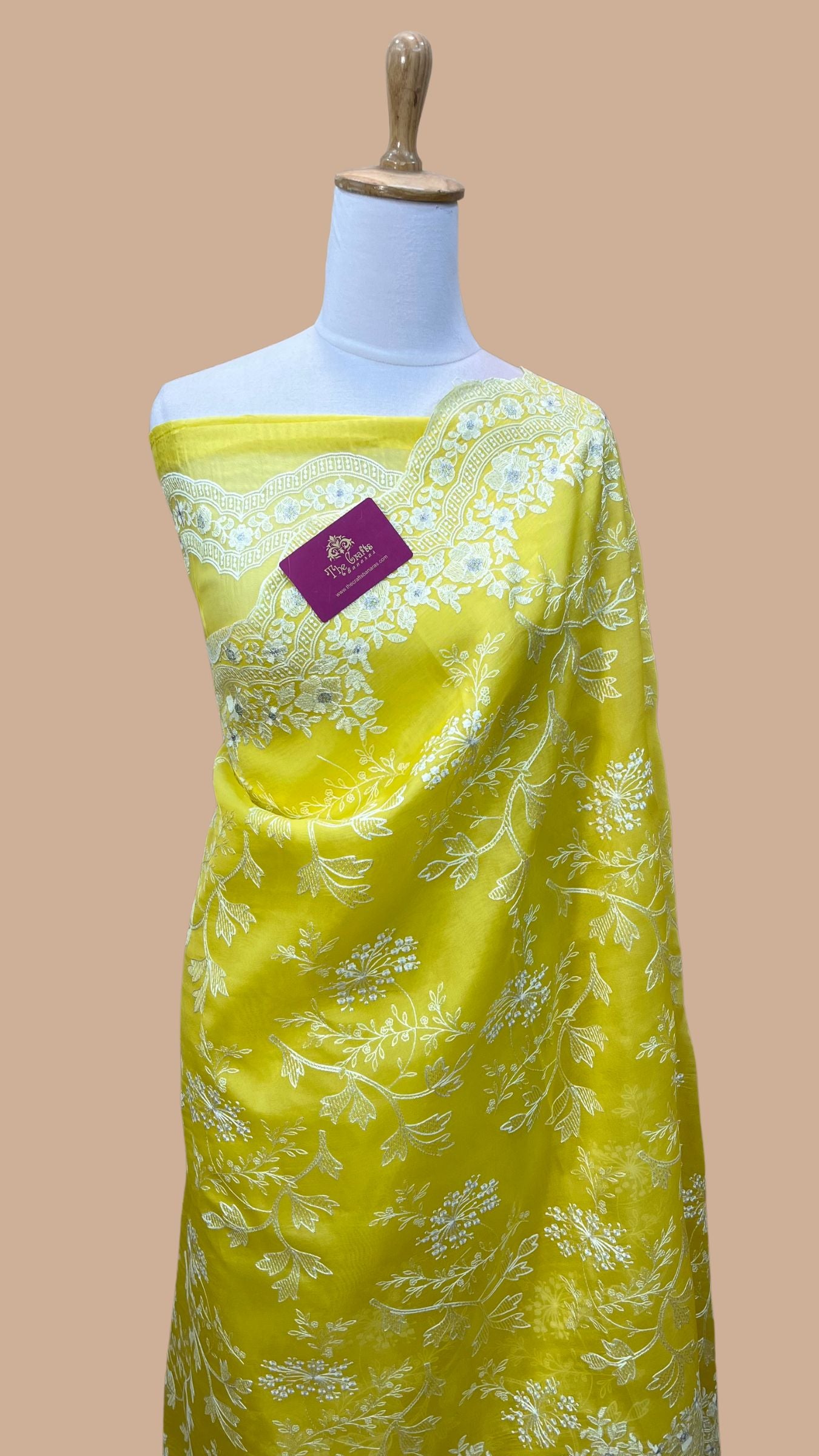 Pure Organza Silk Chikankari Handloom Banarasi Saree