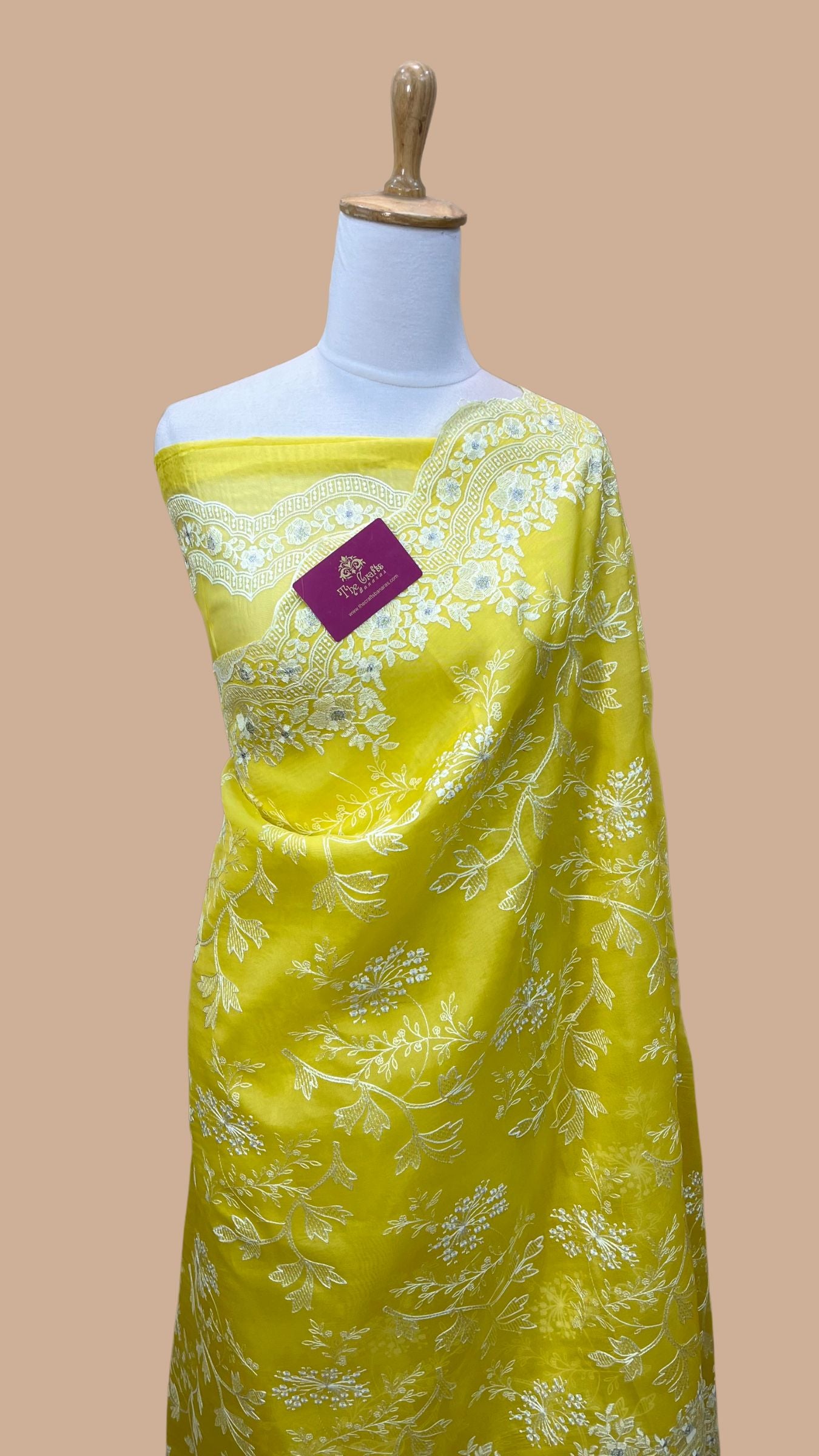 Pure Organza Silk Chikankari Handloom Banarasi Saree