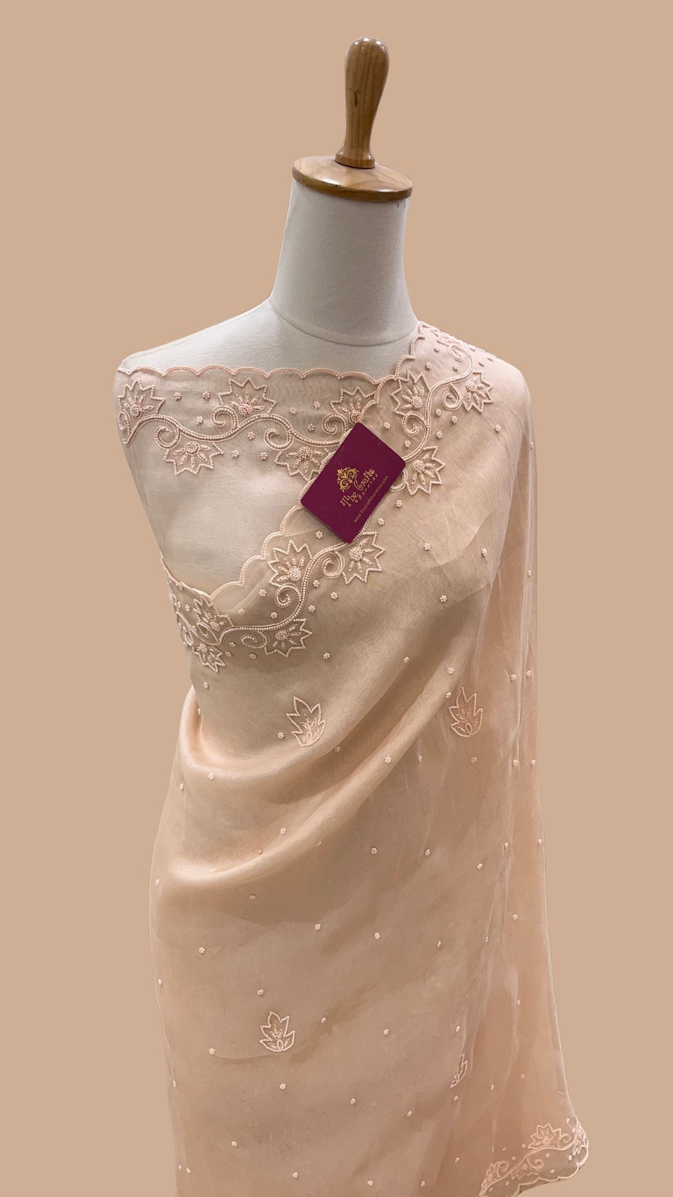 Pure Organza Silk Handloom Banarasi Saree - handwork motifs