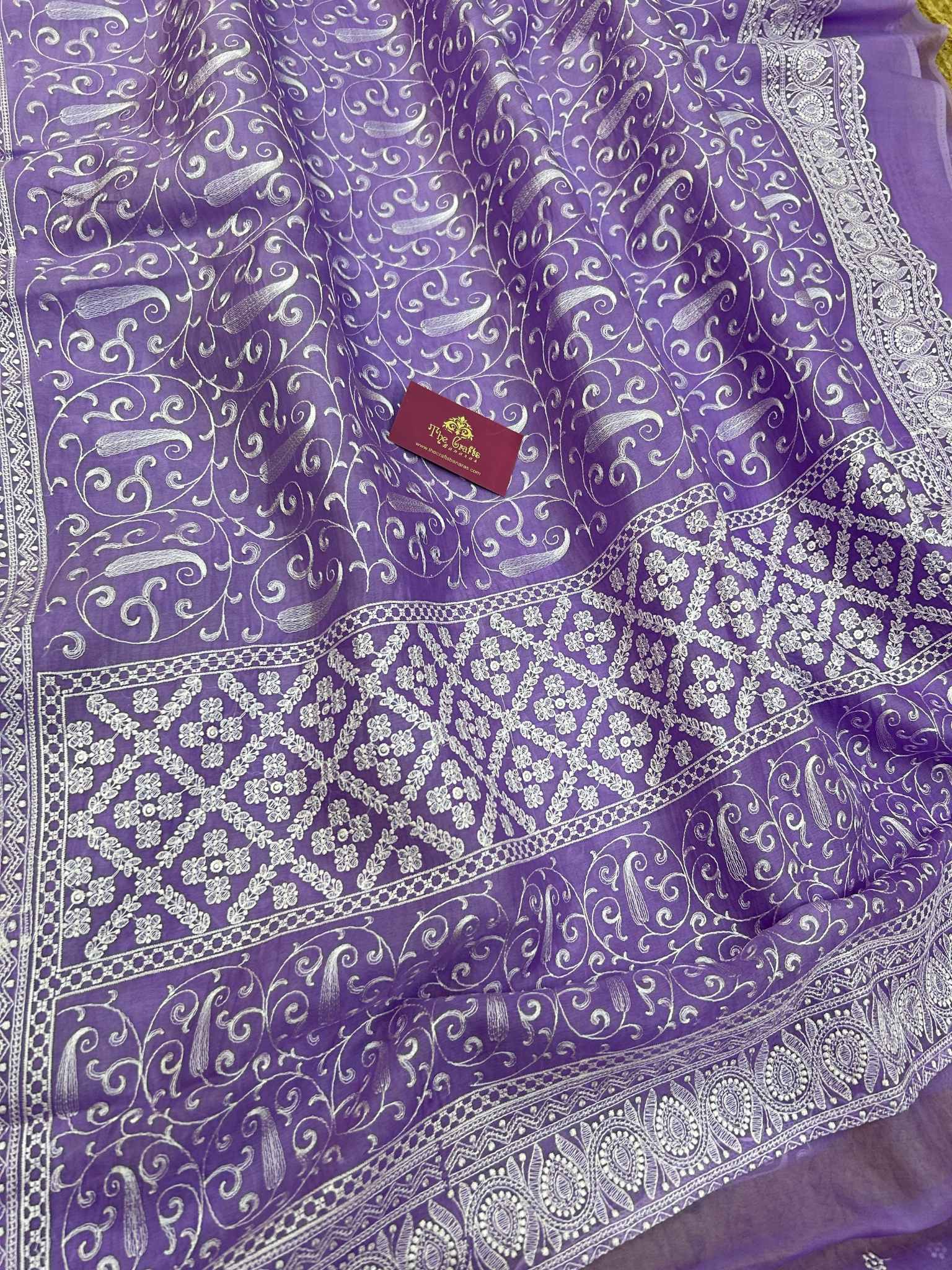 Pure Organza Silk Handloom Banarasi Saree - Chikankari all over