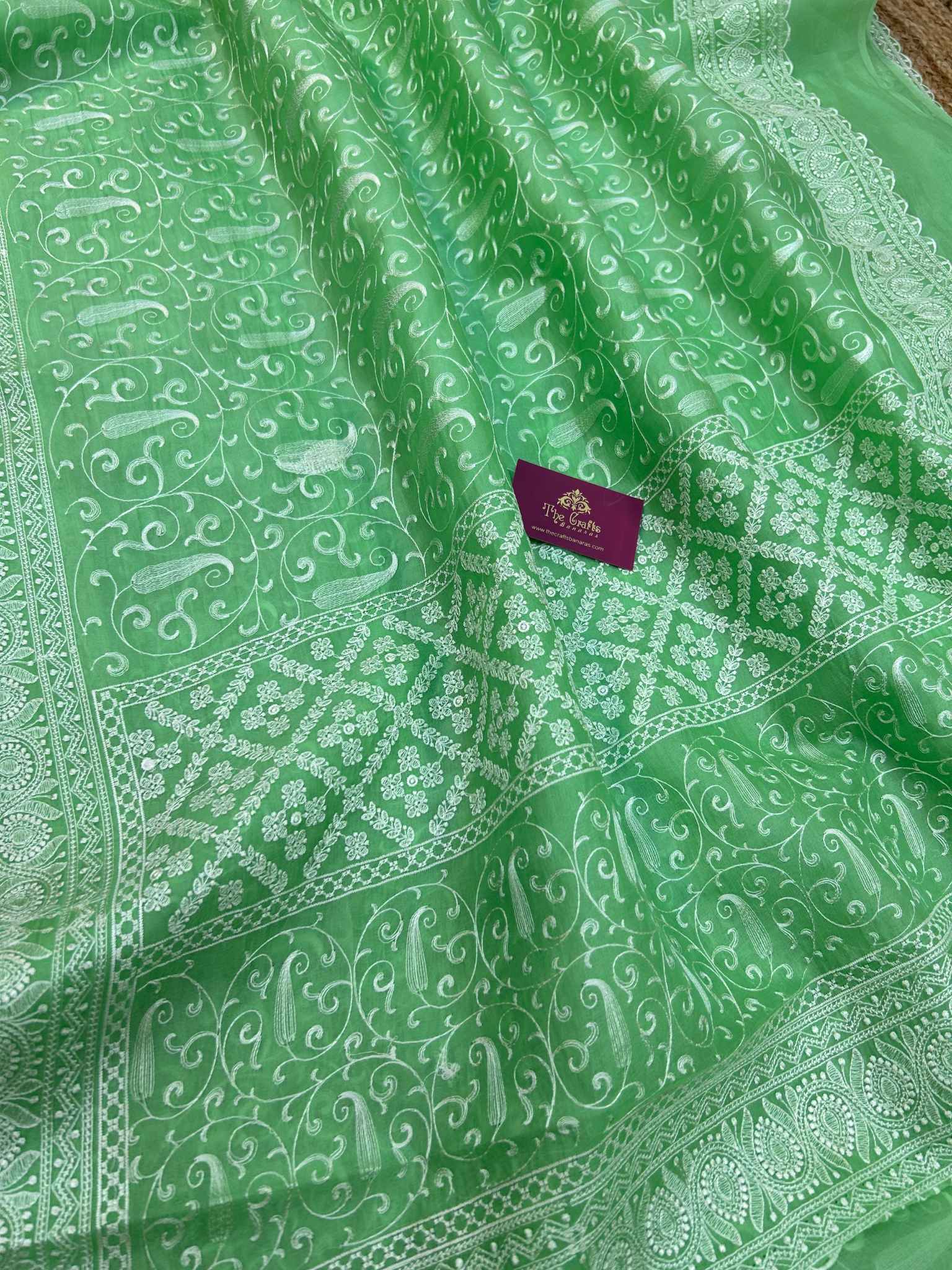 Pure Organza Silk Handloom Banarasi Saree - Chikankari all over