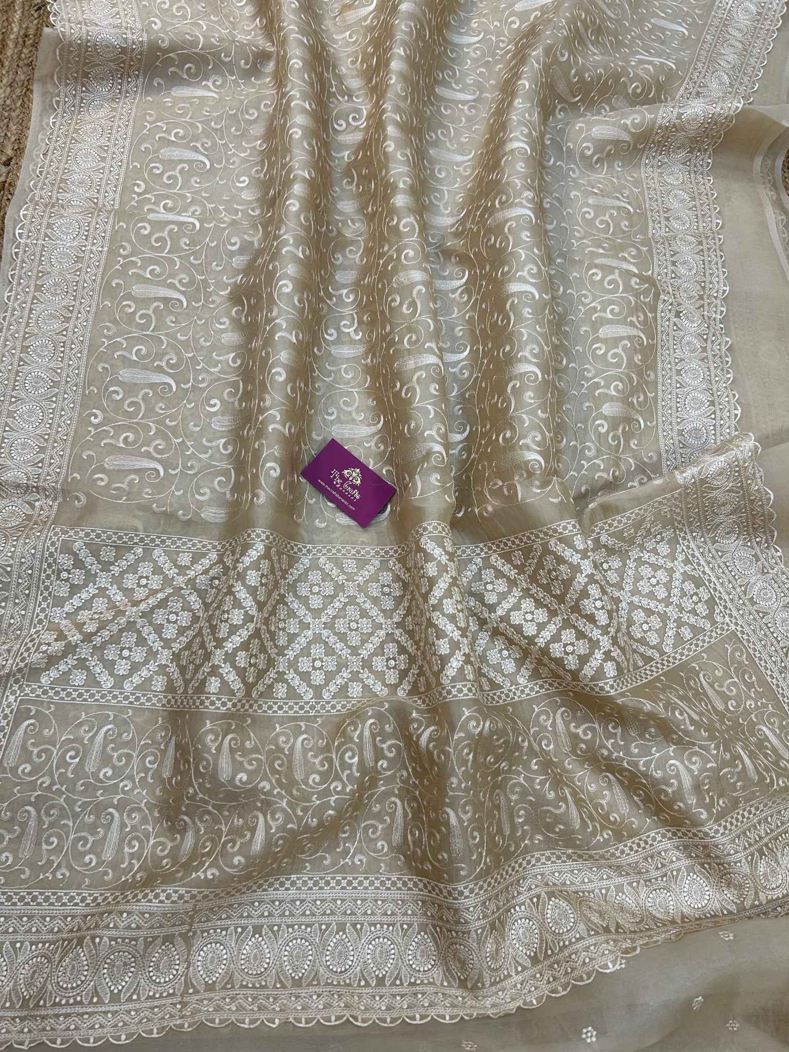 Pure Organza Silk Handloom Banarasi Saree - Chikankari all over