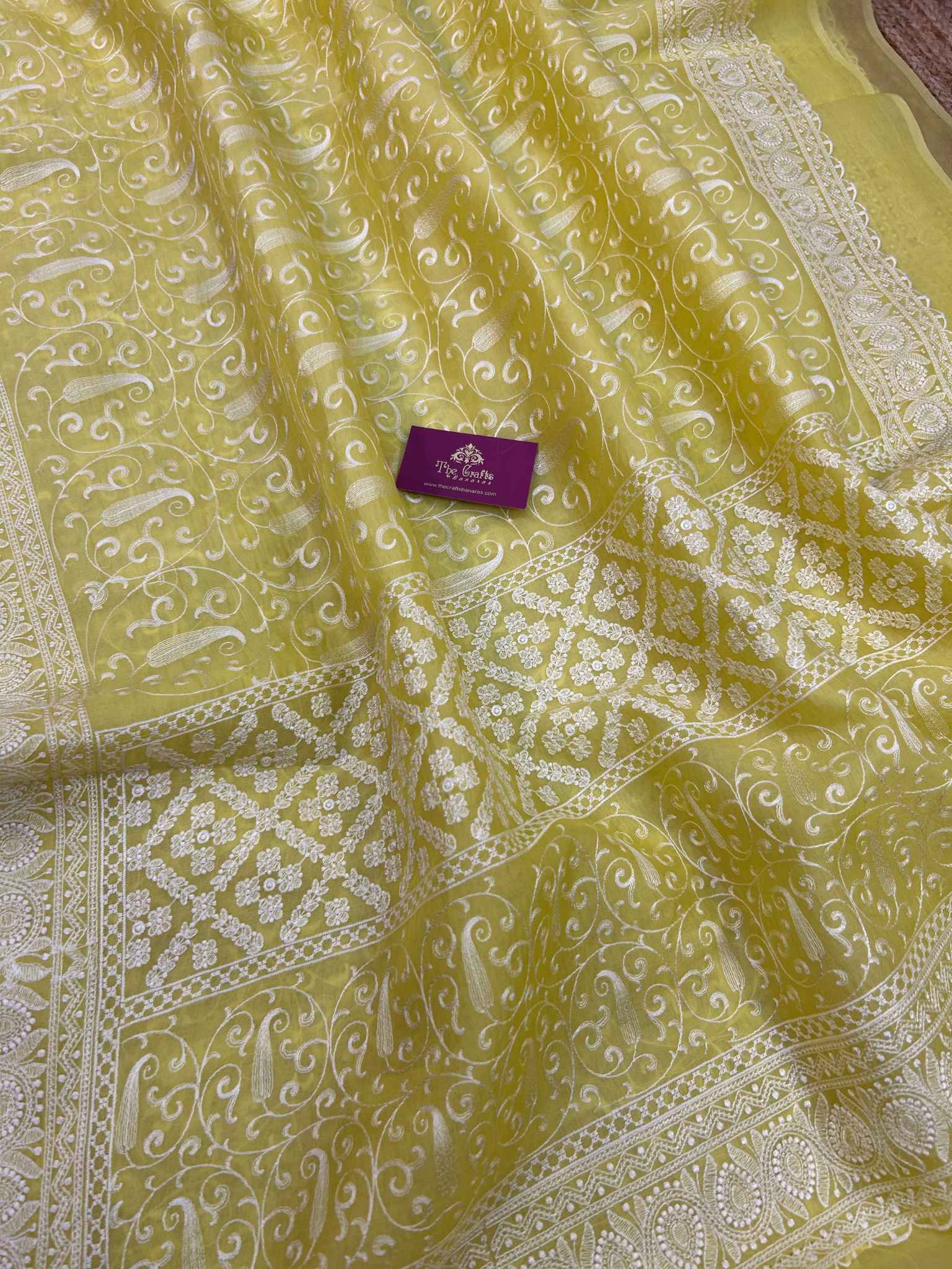 Pure Organza Silk Handloom Banarasi Saree - Chikankari all over