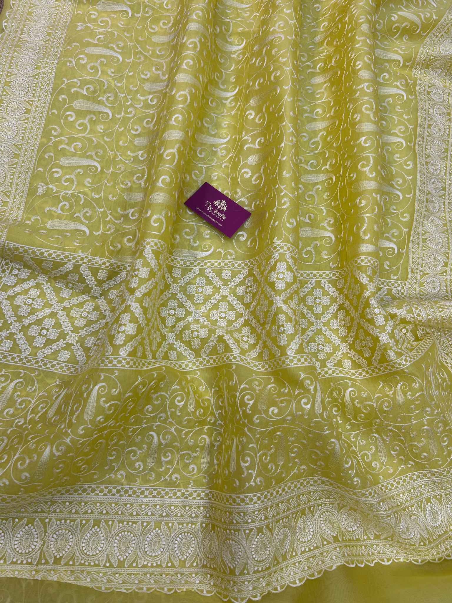 Pure Organza Silk Handloom Banarasi Saree - Chikankari all over