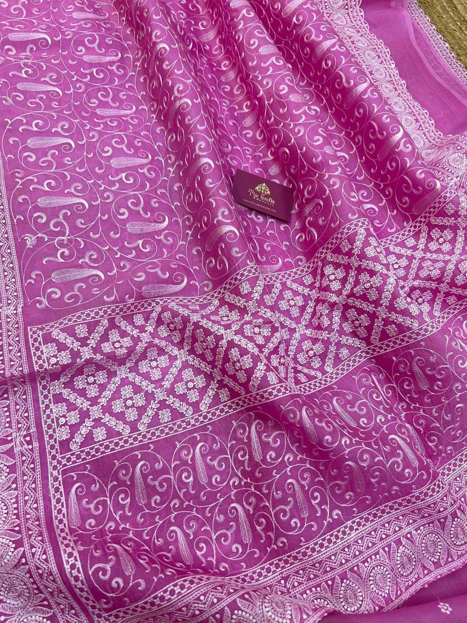 Pure Organza Silk Handloom Banarasi Saree - Chikankari all over