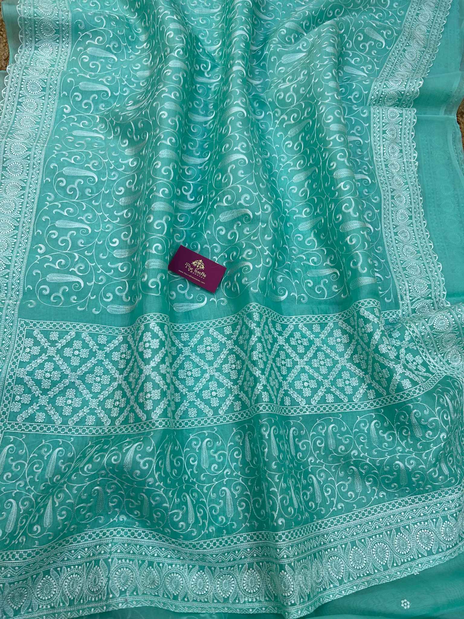 Pure Organza Silk Handloom Banarasi Saree - Chikankari all over