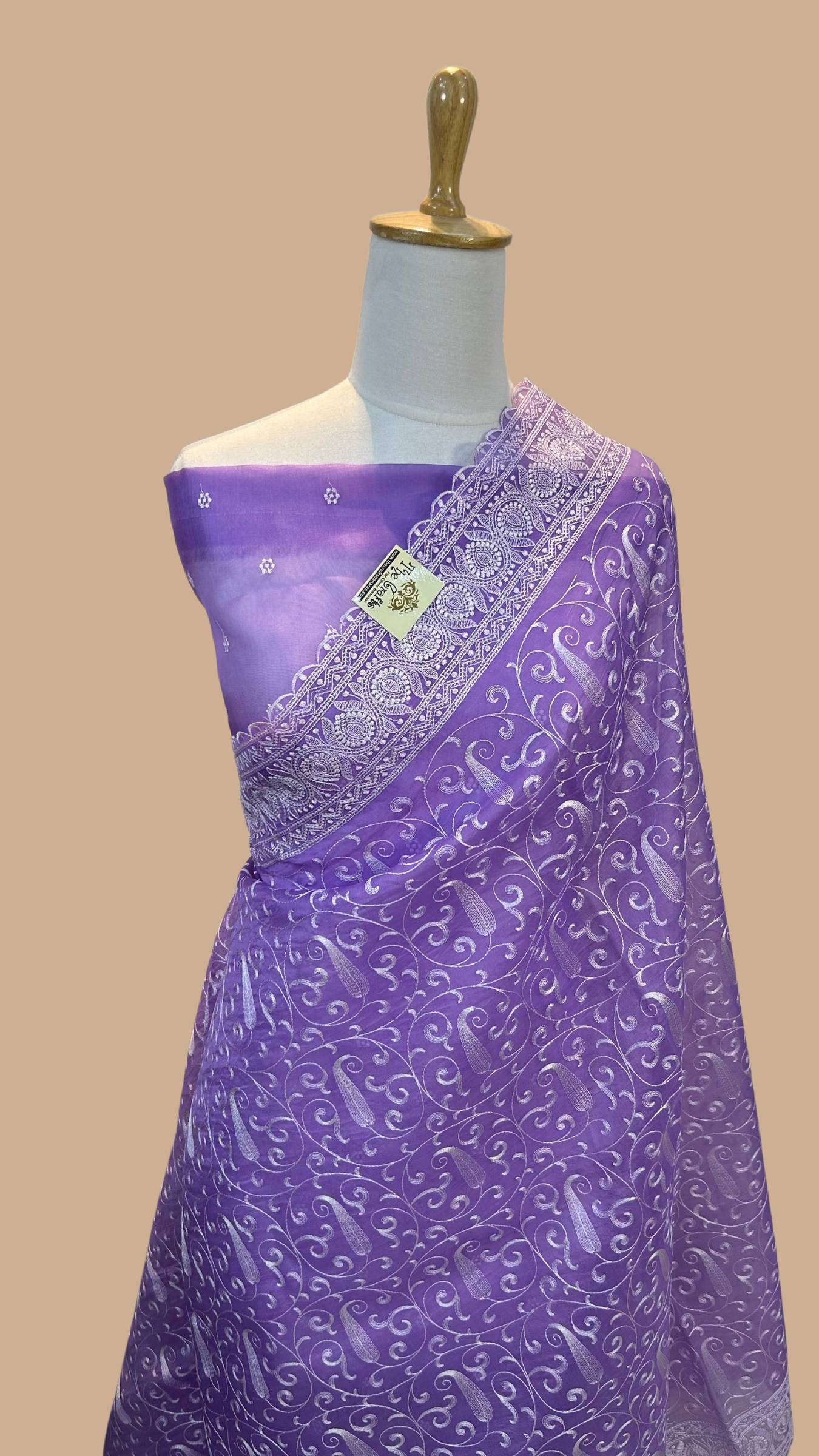 Pure Organza Silk Handloom Banarasi Saree - Chikankari all over