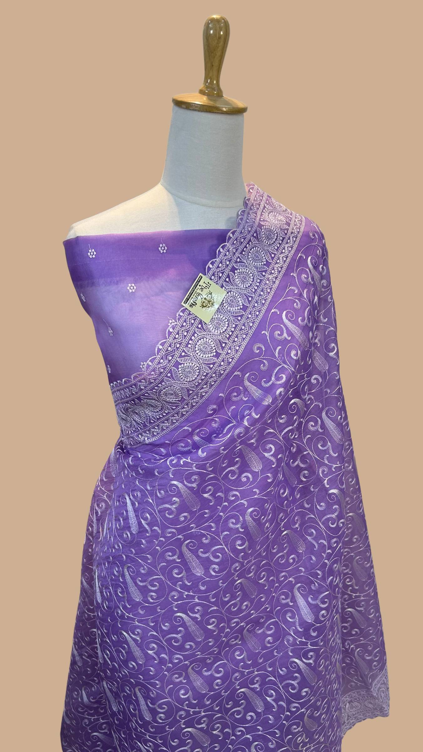 Pure Organza Silk Handloom Banarasi Saree - Chikankari all over