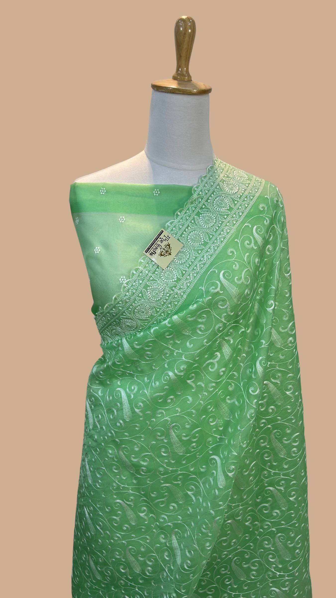 Pure Organza Silk Handloom Banarasi Saree - Chikankari all over