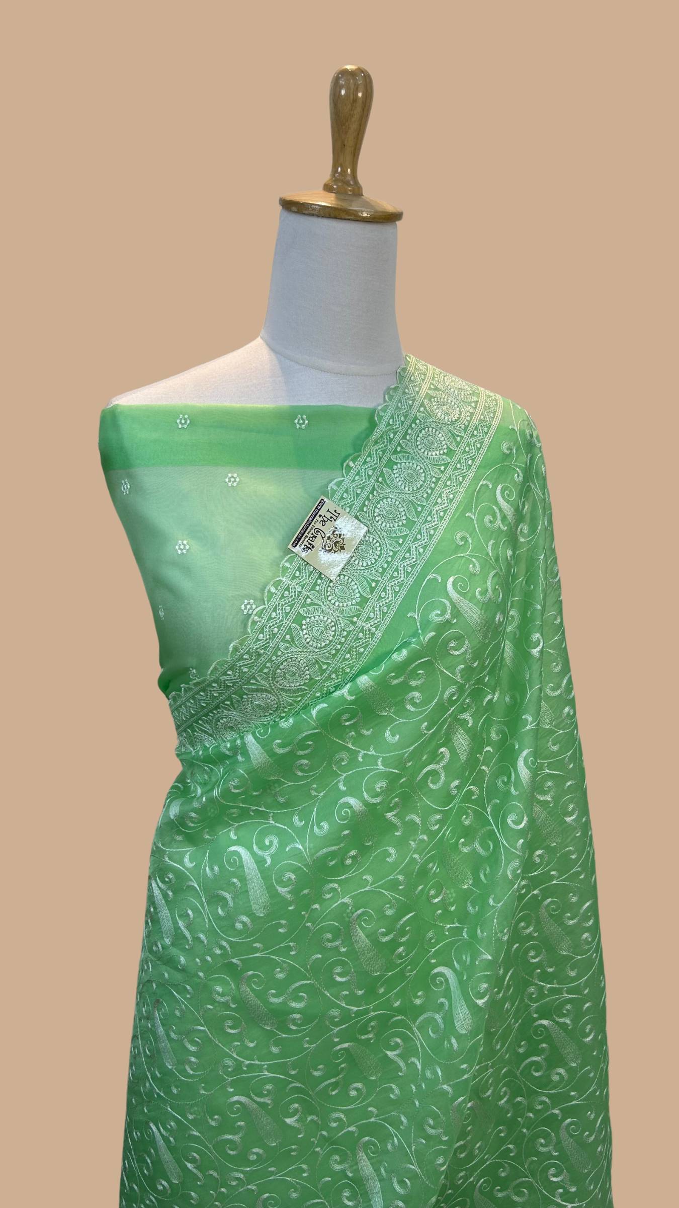 Pure Organza Silk Handloom Banarasi Saree - Chikankari all over