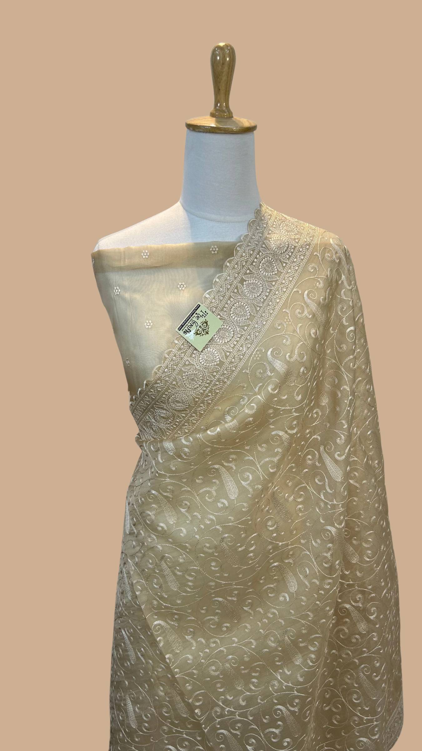 Pure Organza Silk Handloom Banarasi Saree - Chikankari all over