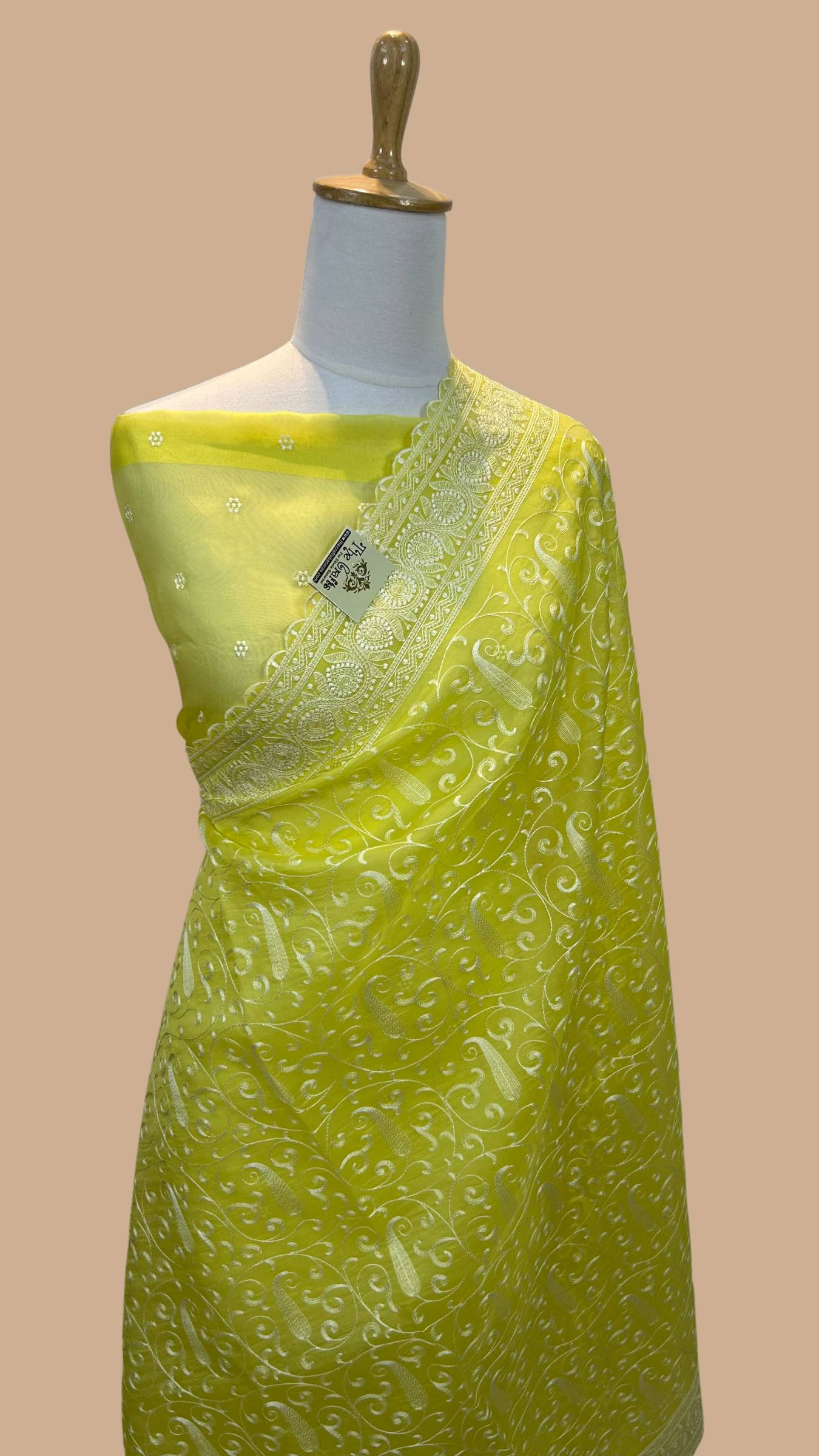 Pure Organza Silk Handloom Banarasi Saree - Chikankari all over