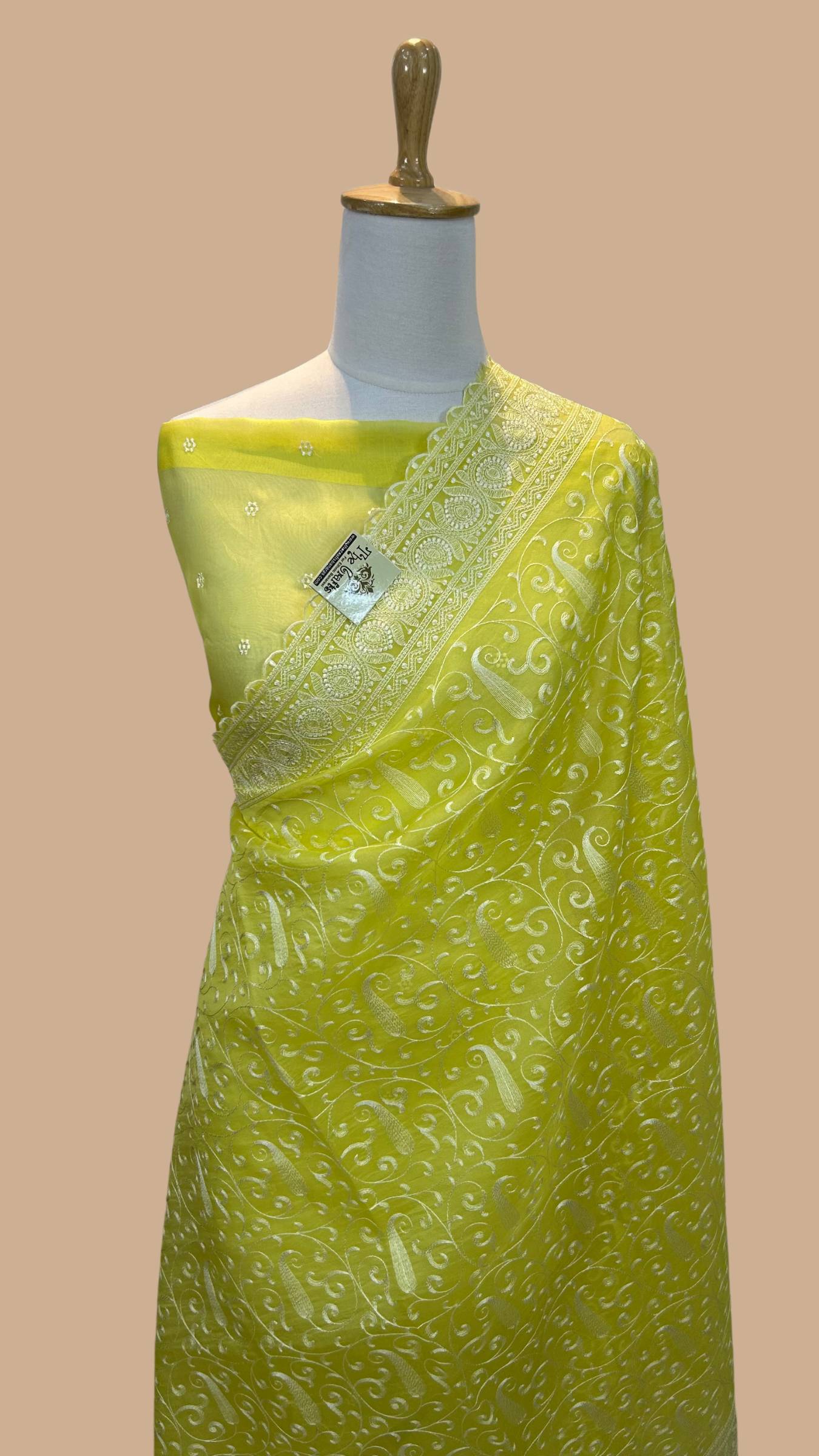 Pure Organza Silk Handloom Banarasi Saree - Chikankari all over