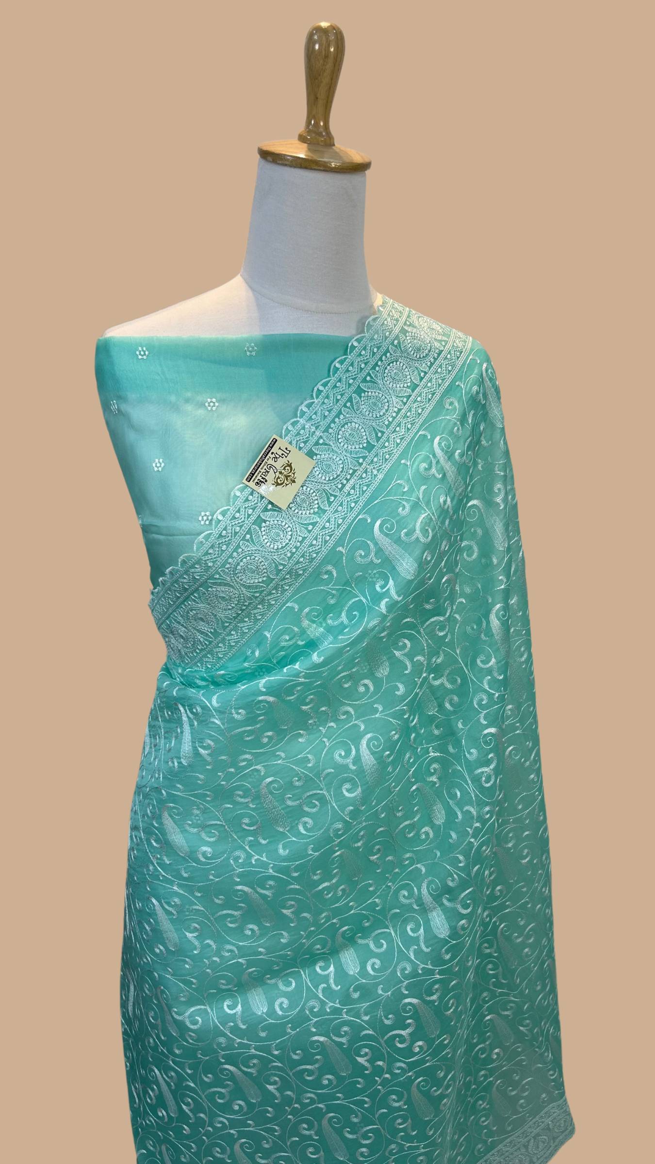 Pure Organza Silk Handloom Banarasi Saree - Chikankari all over